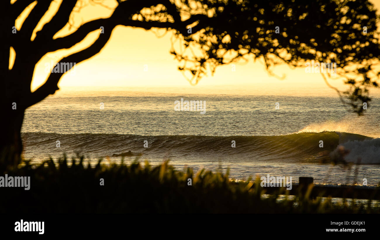 Silhouette of a surfer paddling out to catch a wave, malibu, california, america, USA Stock Photo