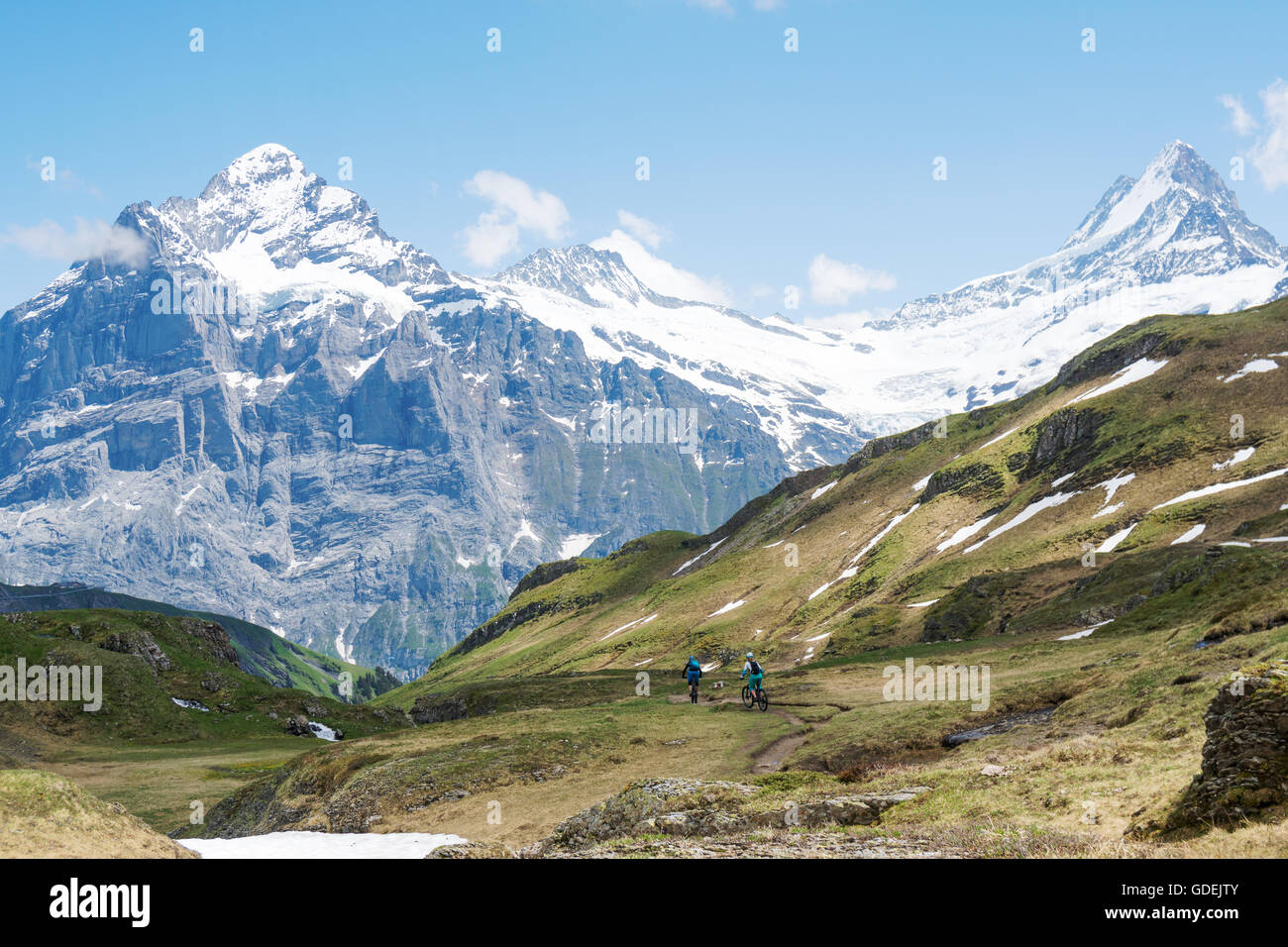 two women mountain biking in swiss alps, Grindelwald, Switzerland Stock Photo