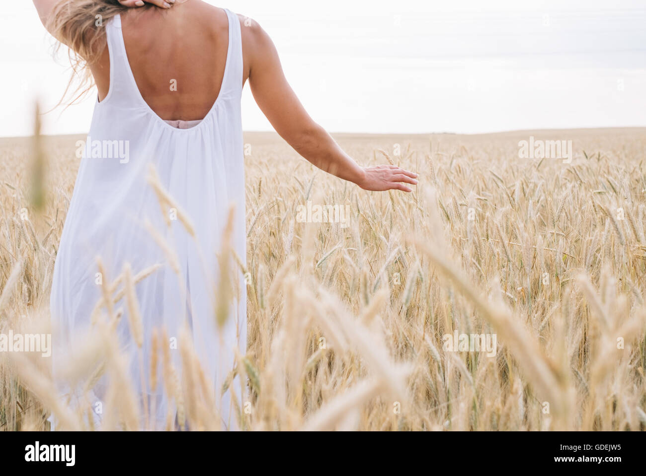 Rear view of woman walking in wheat field Stock Photo