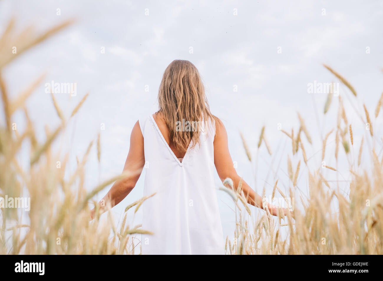 Rear view of woman standing in wheat field Stock Photo