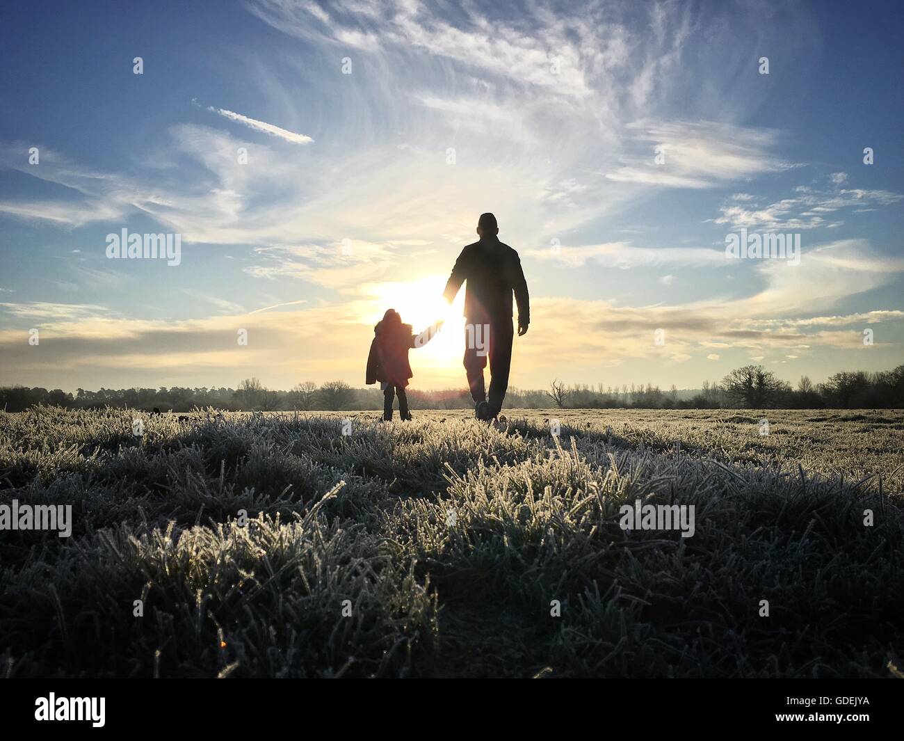 Silhouette of father holding daughter's hand Stock Photo Alamy