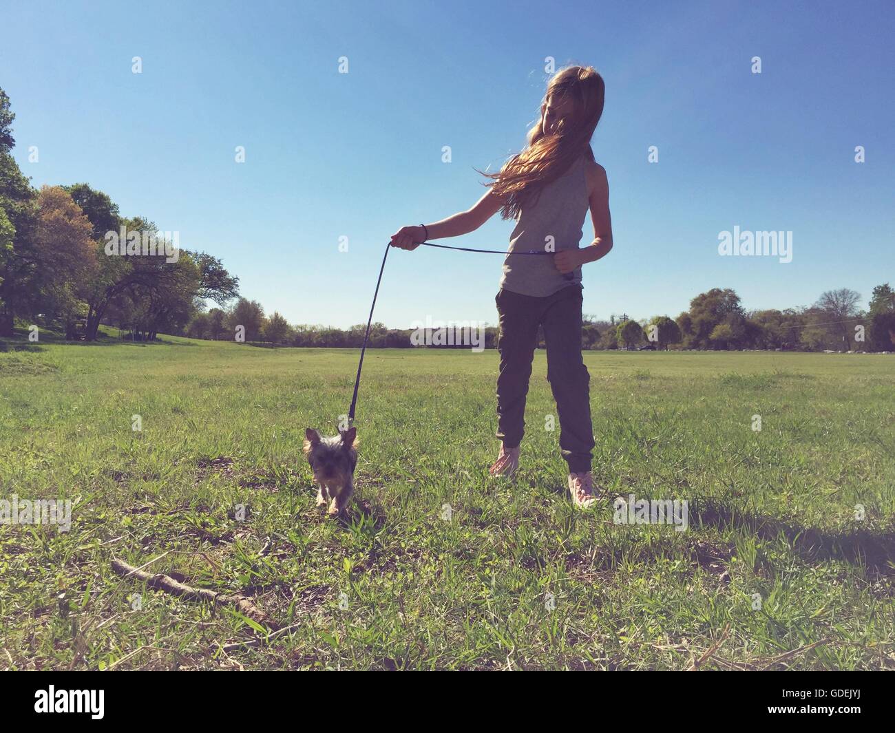 Girl walking small dog in park Stock Photo