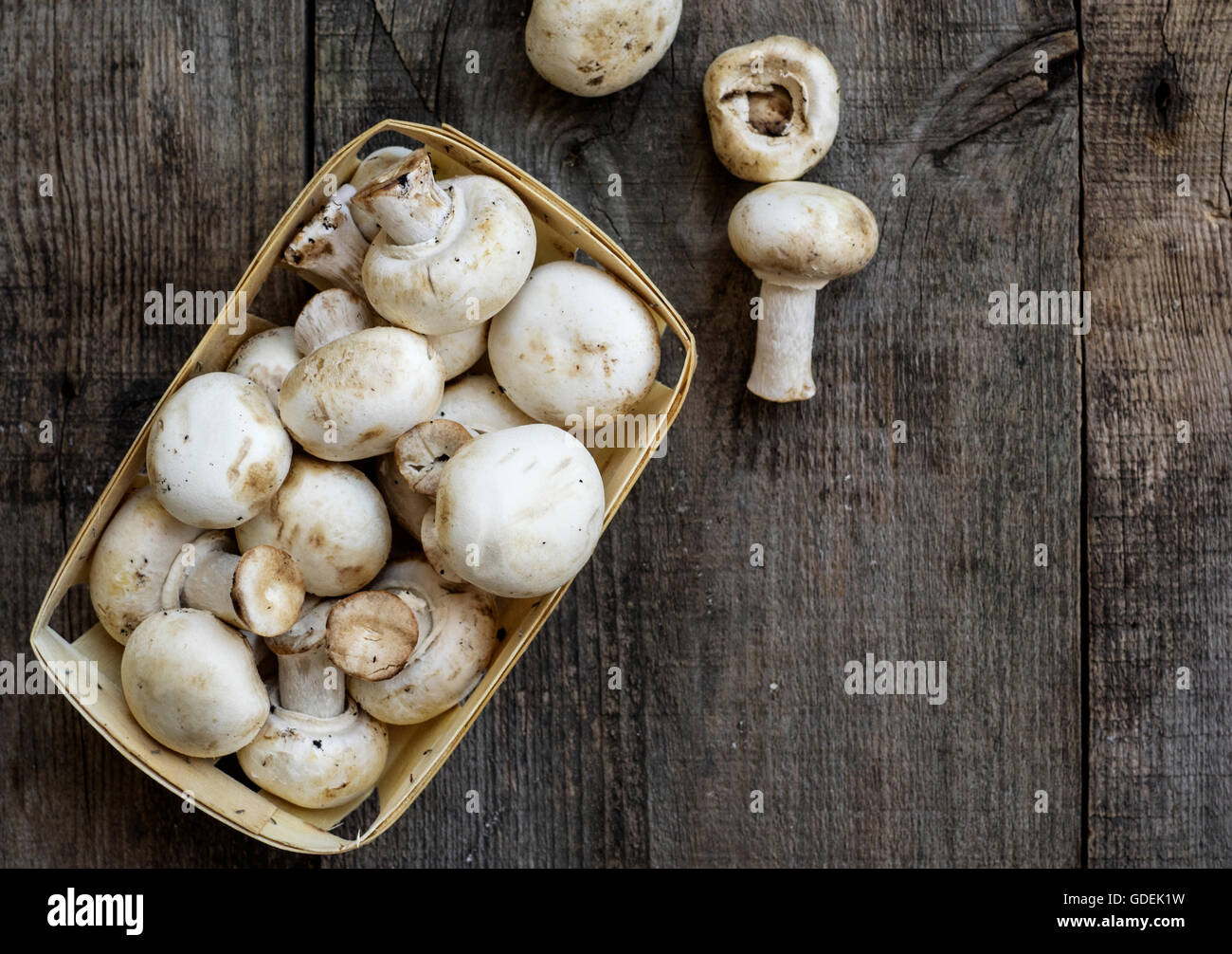 Box of fresh mushrooms Stock Photo