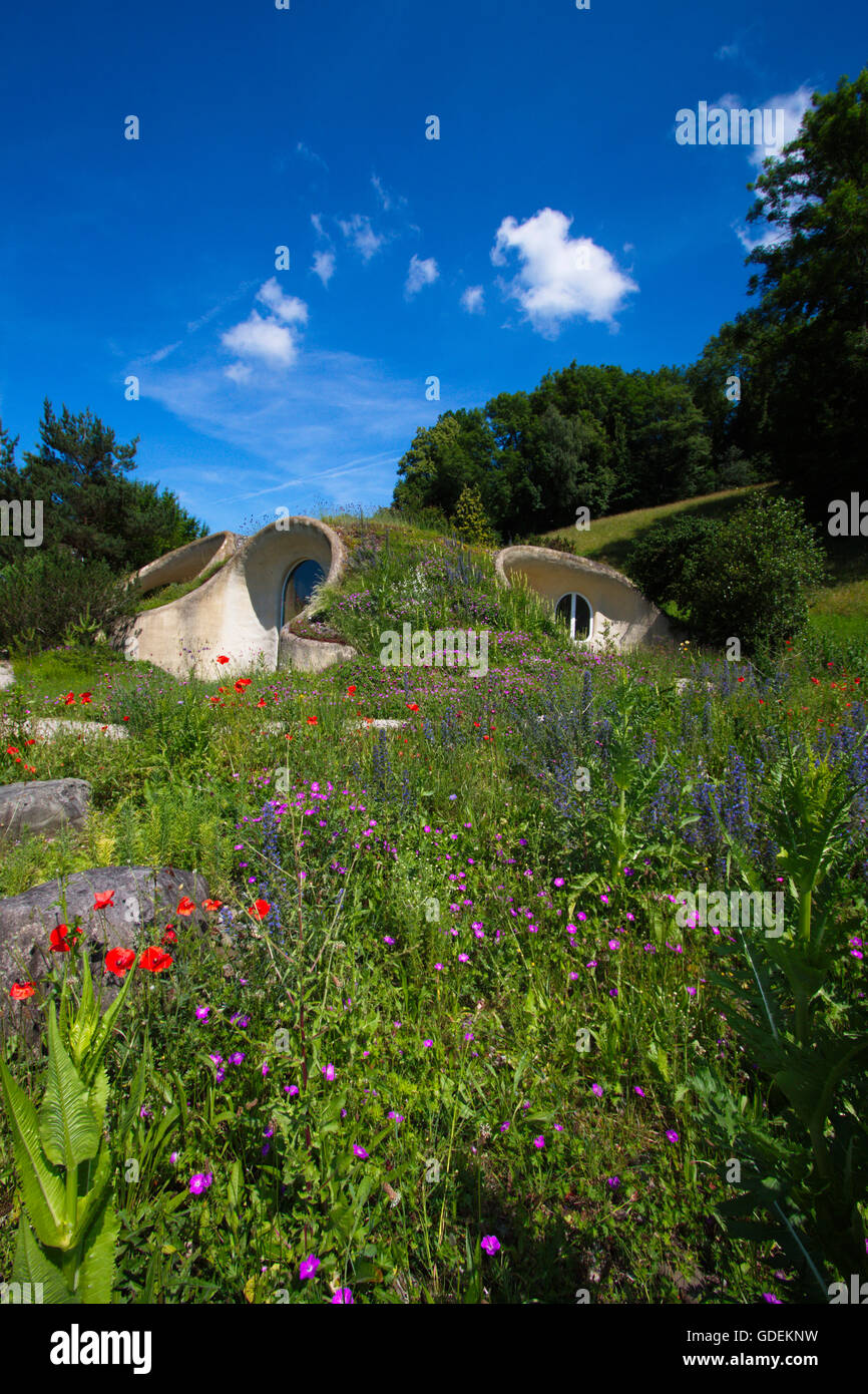 earth house,green roof,Switzerland Stock Photo