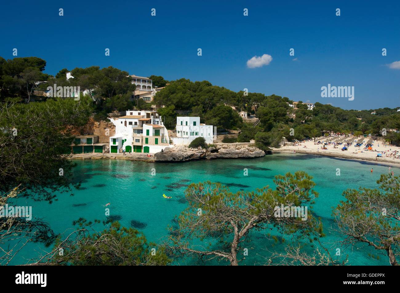 Cala Santanyi, Mallorca, Balearen, SpanienCala Santanyi mit Strand ...