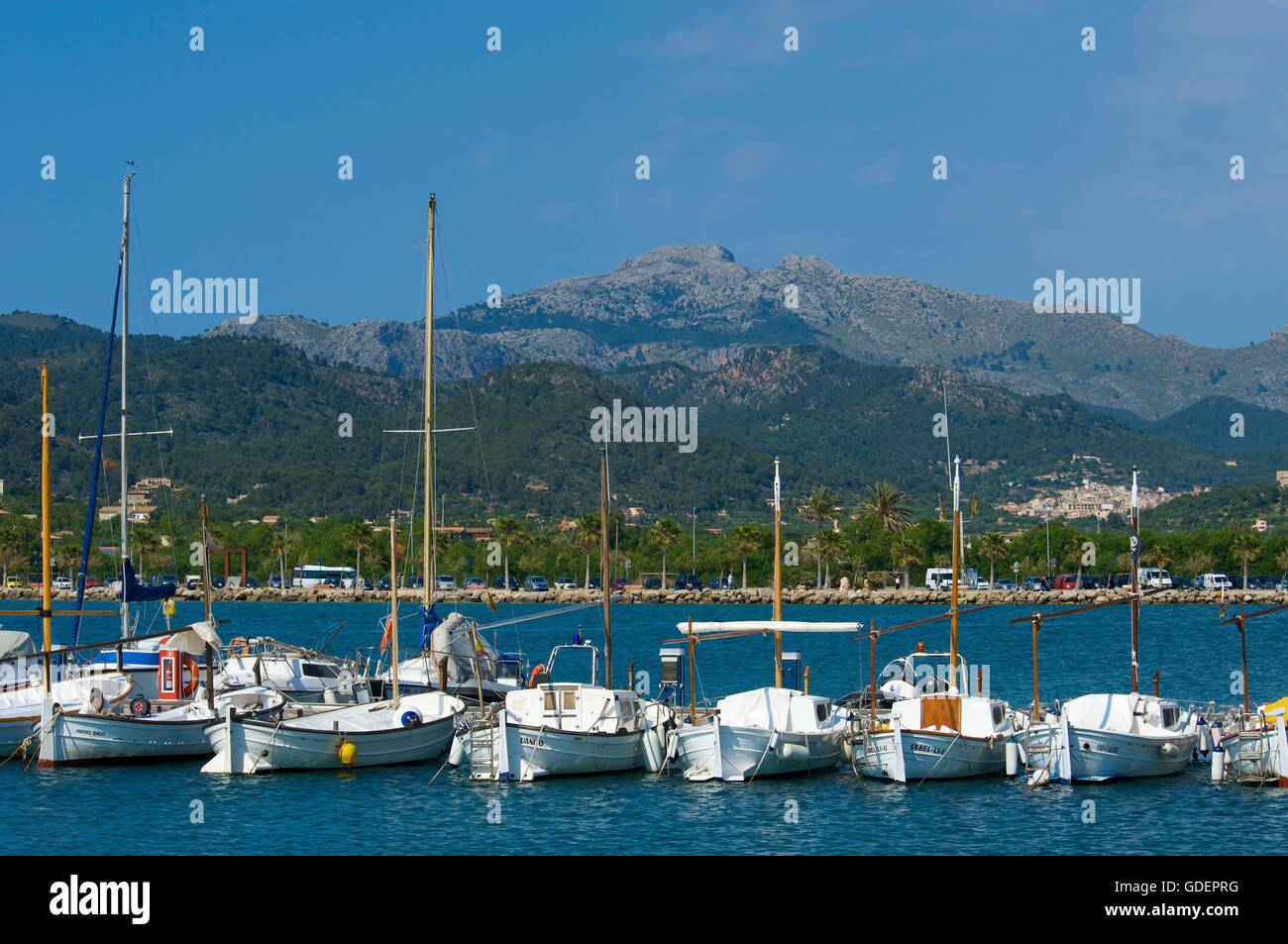 Harbour of Port d Andratx, Mallorca, Majorca, Balearic Islands, Spain Stock Photo