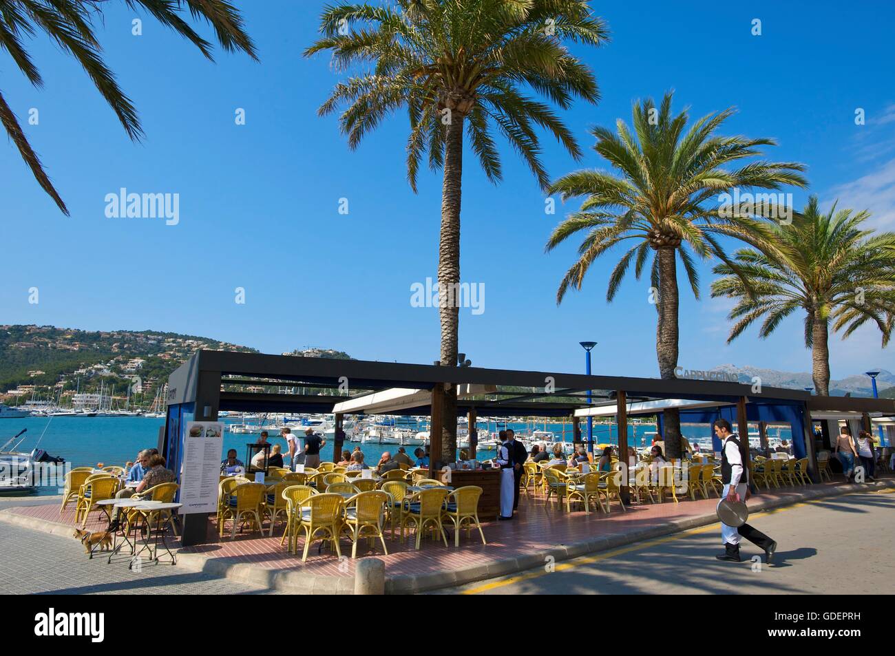 Street Cafe in Port d Andratx, Mallorca, Majorca, Balearic Islands, Spain Stock Photo
