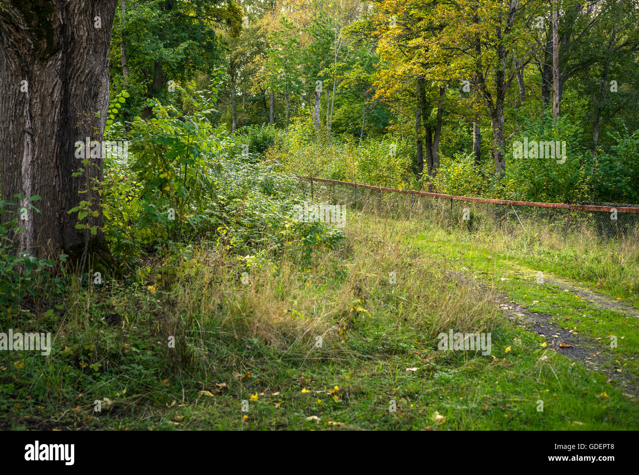 walkway with a fence Stock Photo Alamy