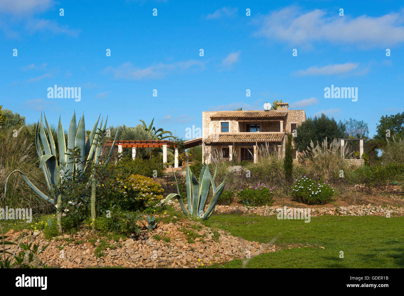 Almond blossom and Finca near Santanyi, Majorca, Balearic Islands, Spain Stock Photo
