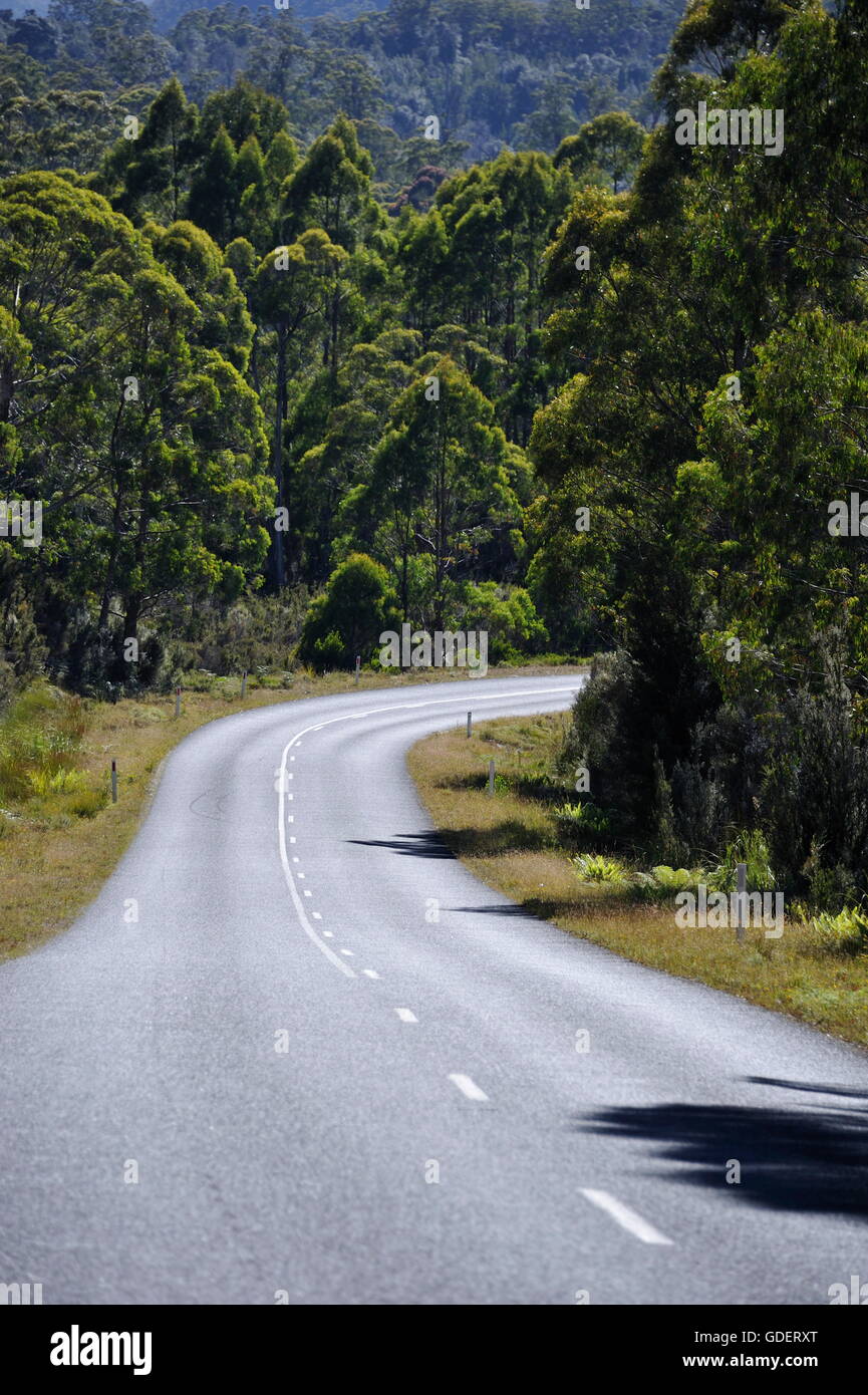 Rainforest Highway A 10, Tasmania, Australia Stock Photo Alamy