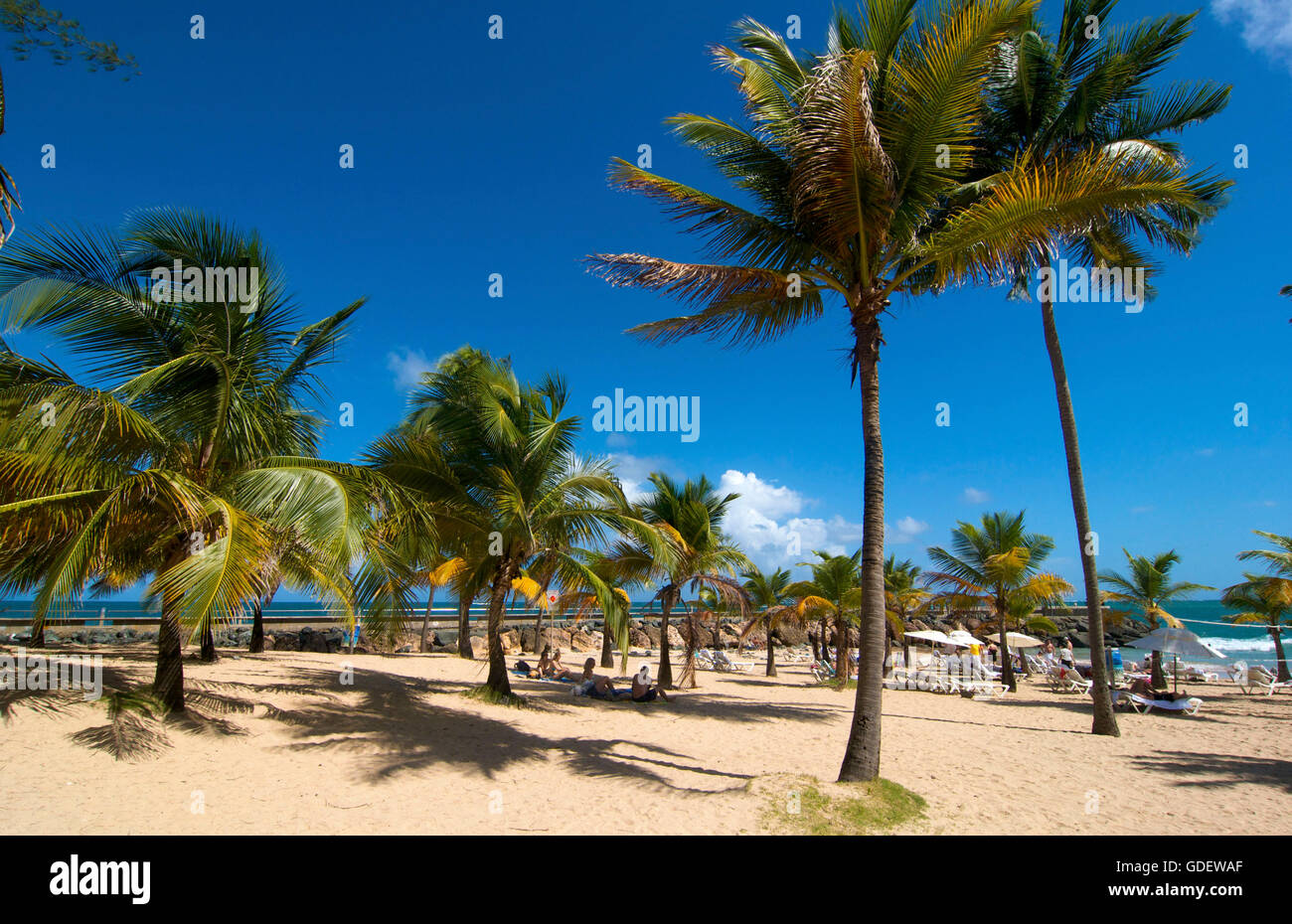 Beach, Isla Verde, San Juan, Puerto Rico Stock Photo