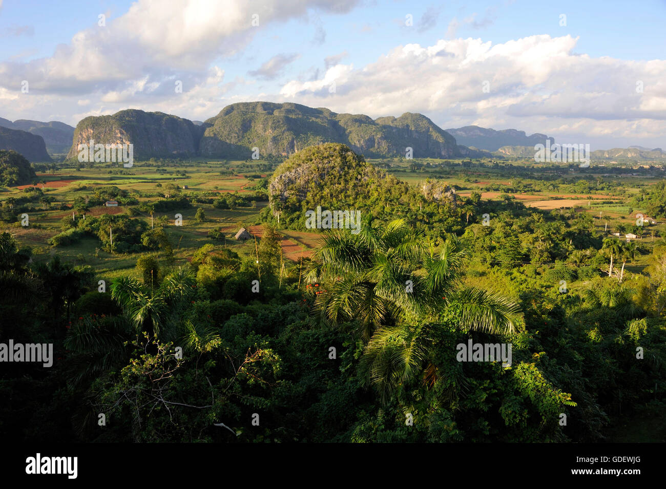 Vinales valley, Sierra del Rosario, Cuba Stock Photo