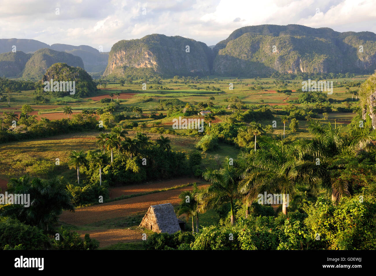 Vinales valley, Sierra del Rosario, Cuba Stock Photo