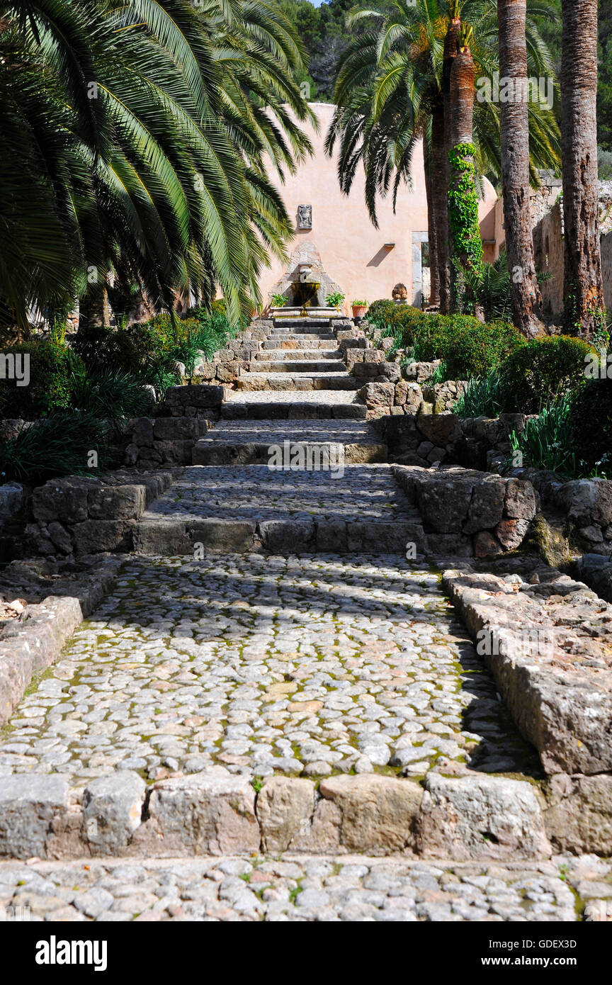 Arab garden, Jardins d' Alfabia, Bunyola, Mallorca, Spain Stock Photo