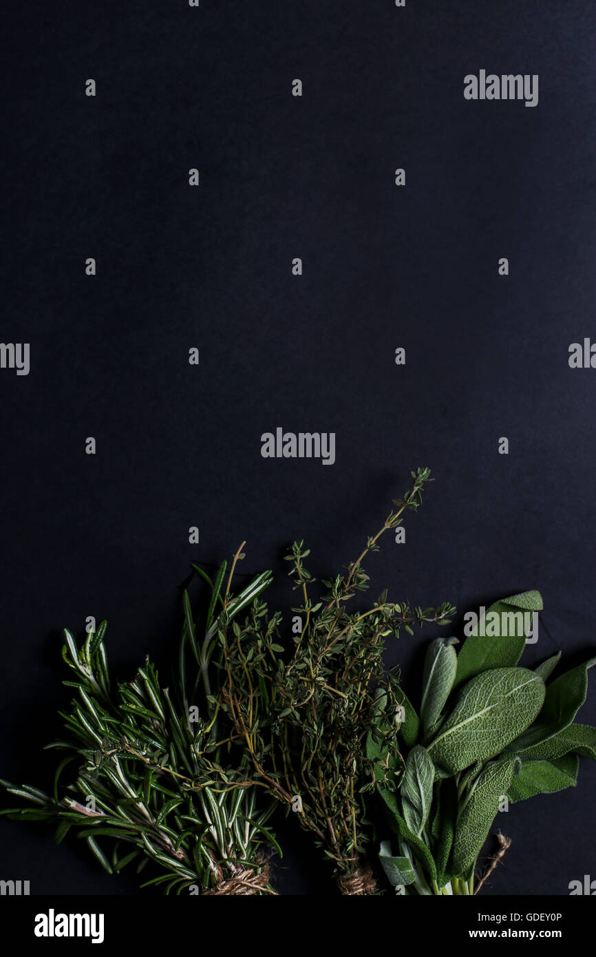 Various fresh herbs medicinal hi-res stock photography and images - Alamy