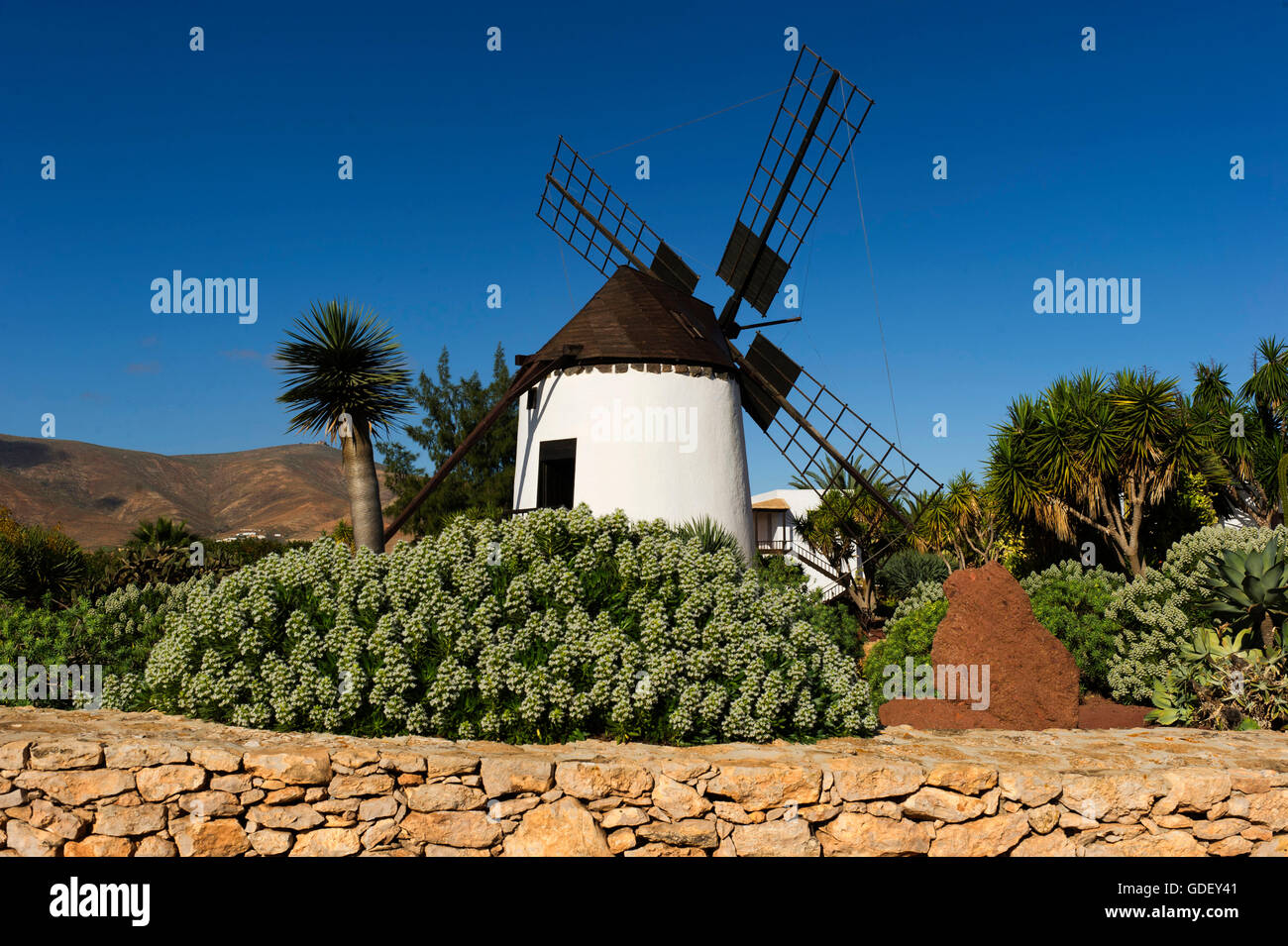 Fuerteventura, Canary Island, Spain, Windmil Antigua, Museum, Molino de Antigua Stock Photo