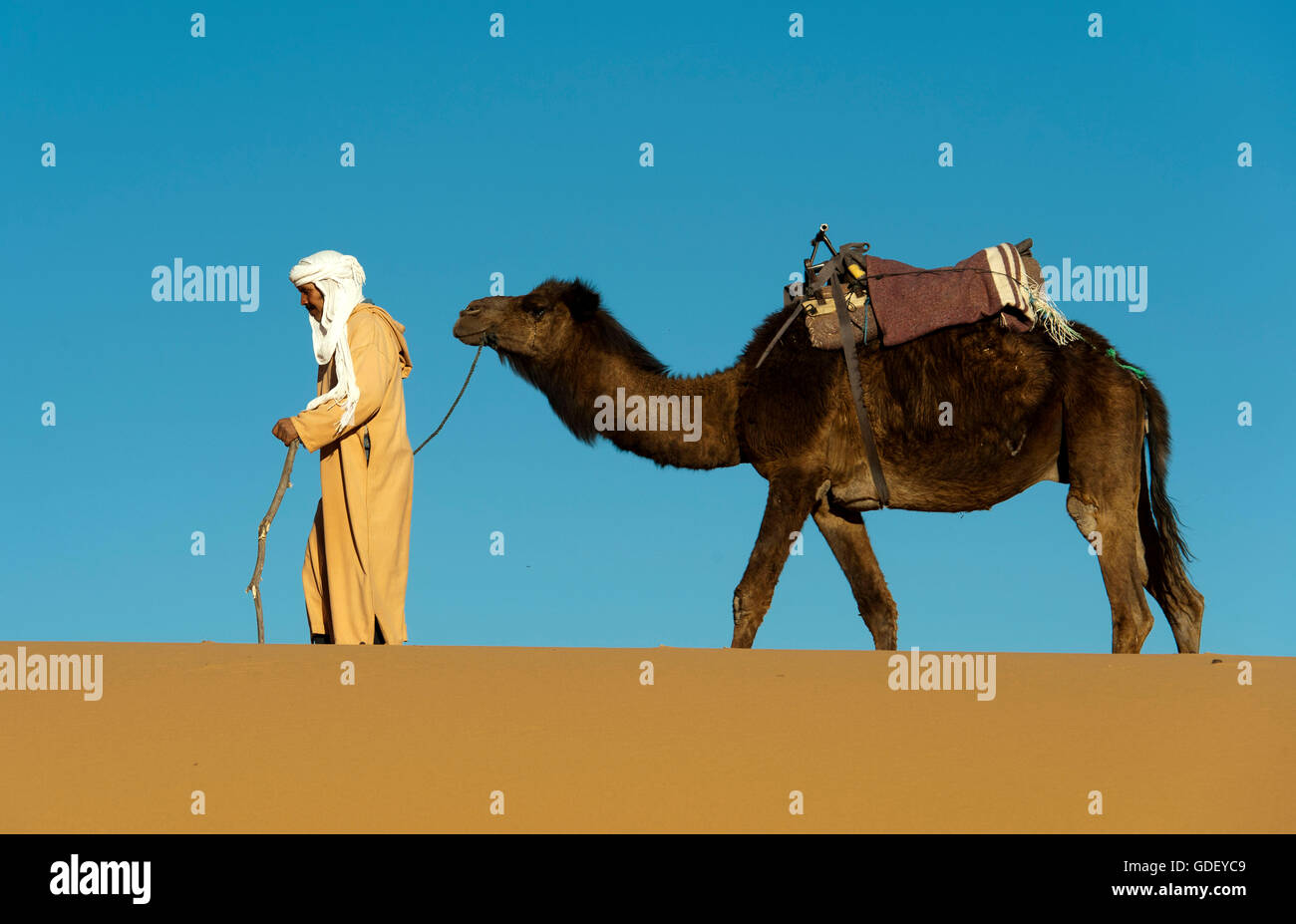 Marocco, Africa, cameleer, Desert Erg Chebbi, Dunes, Stock Photo
