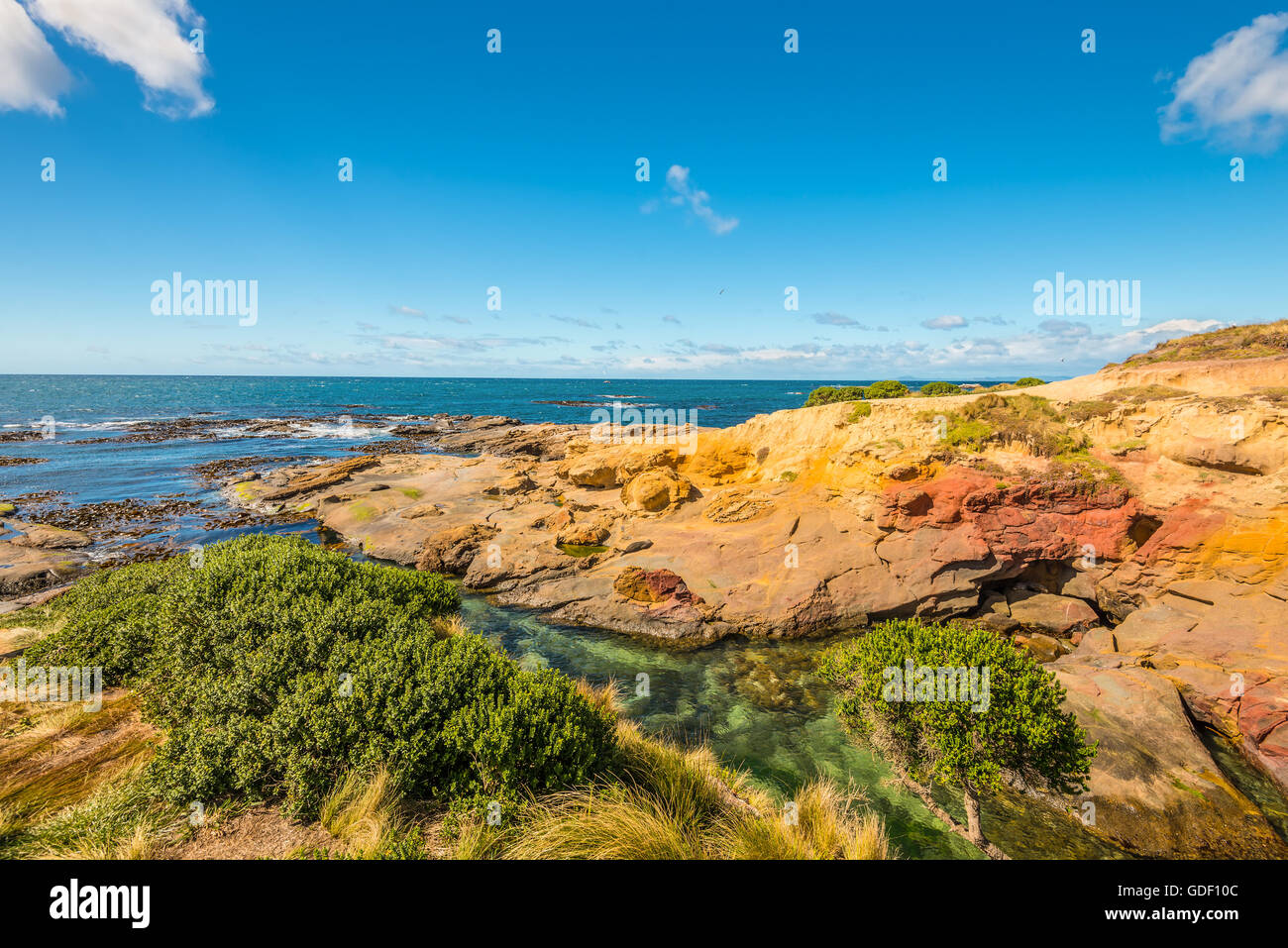 New Zealand colorful coastline landscape with fur seals at Otago Region Southern island New Zealand - circular polarizing filter Stock Photo