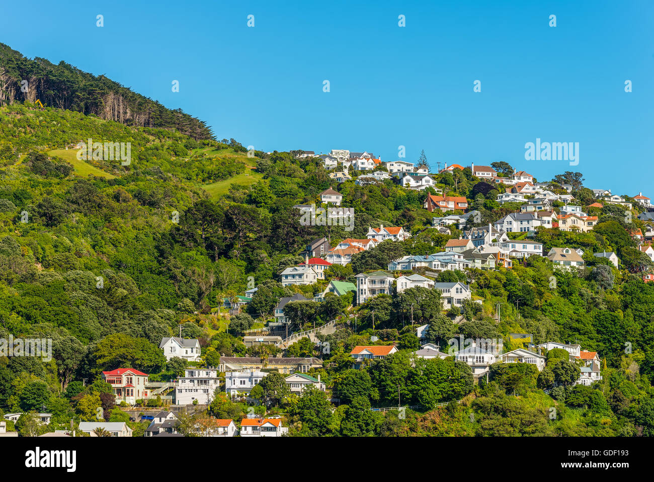 Colorful houses in Wellington, New Zealand. Wellington is the capital city and second most populous urban area of New Zealand. Stock Photo