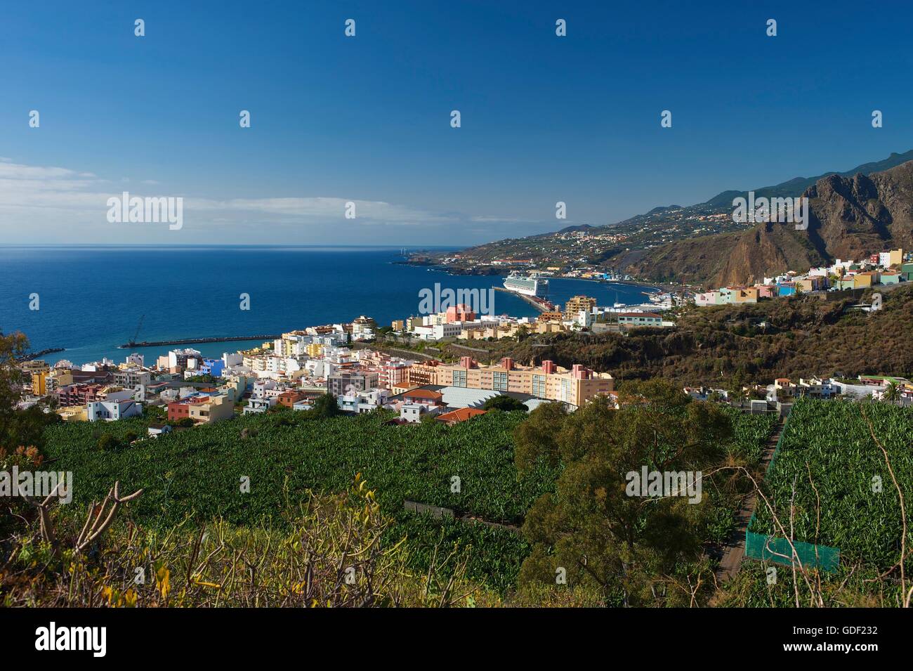 La palma canaries hi-res stock photography and images - Alamy