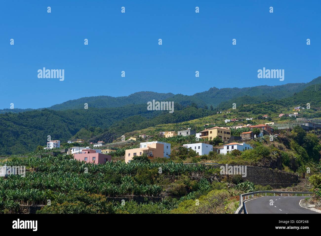 Los Sauces, La Palma, Canaries, Spain Stock Photo