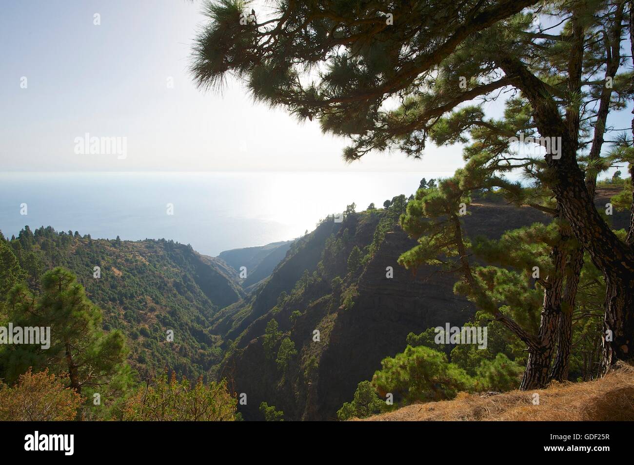 West coast, La Palma, Canaries, Spain Stock Photo