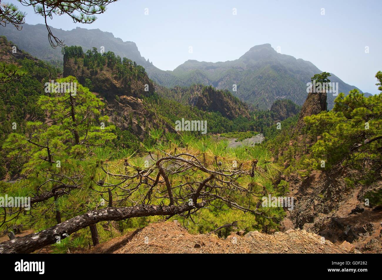 Parque Nacional de la Caldera de Taburiente, La Palma, Canaries, Spain