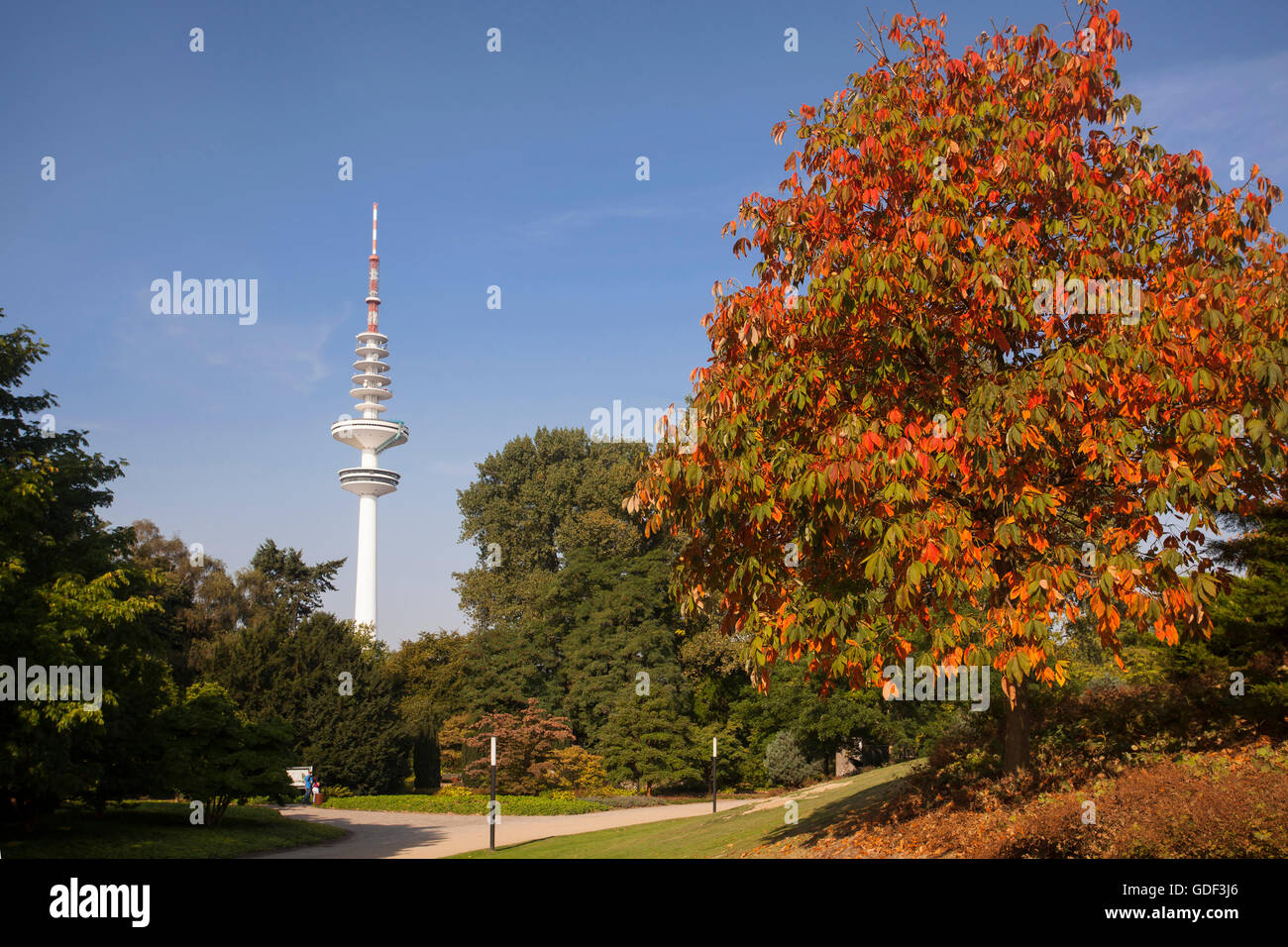 Hamburg TV Tower, HeinrichHertzTurm, public park Planten un Blomen