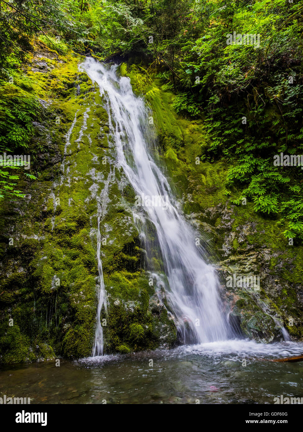Waterfall Olympic National Park Washington Stock Photo Alamy waterfall-olympic-national-park-washington-stock-photo-alamy