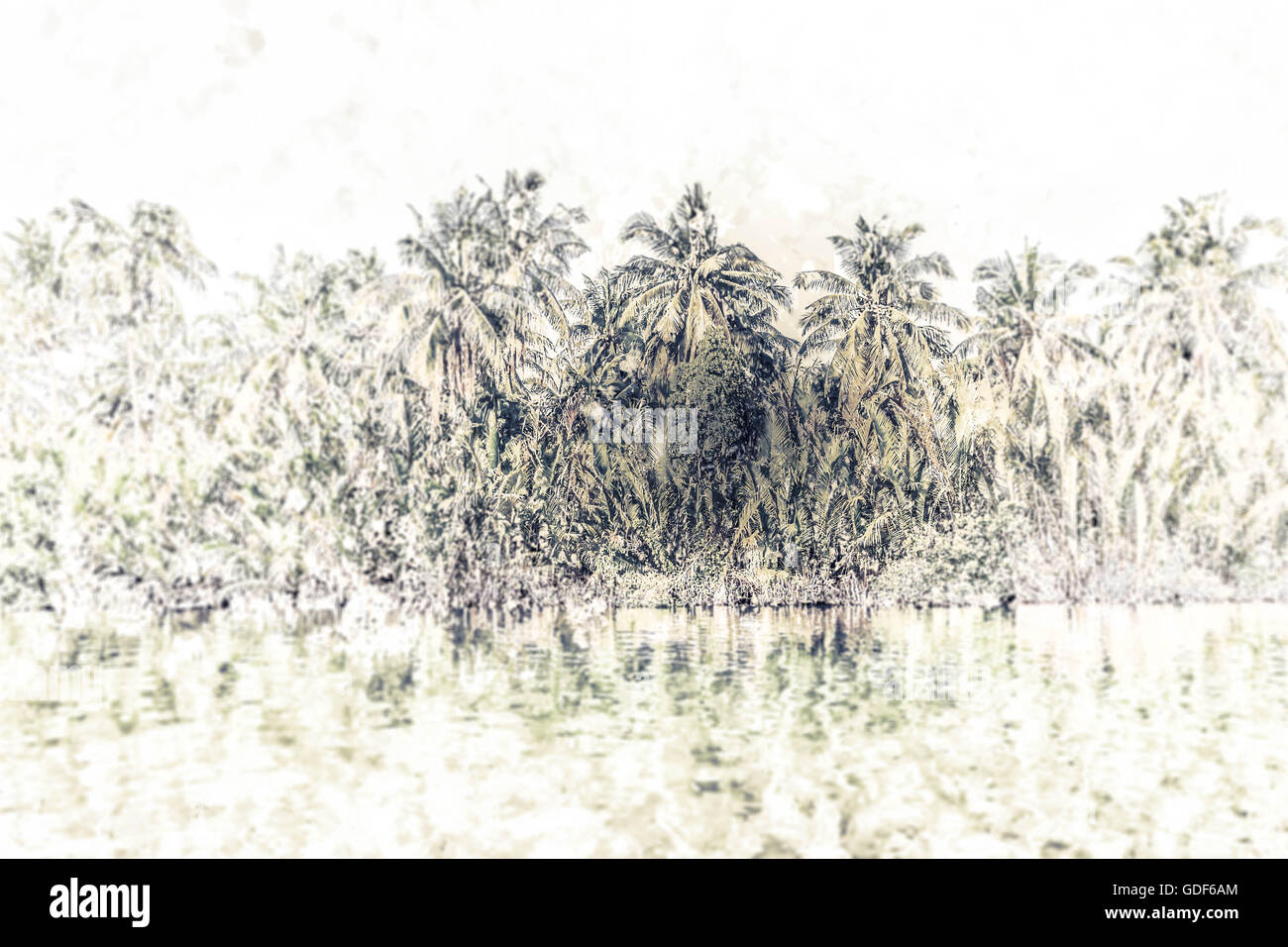 Palm trees on sea shore at beautiful sunny day Stock Photo - Alamy