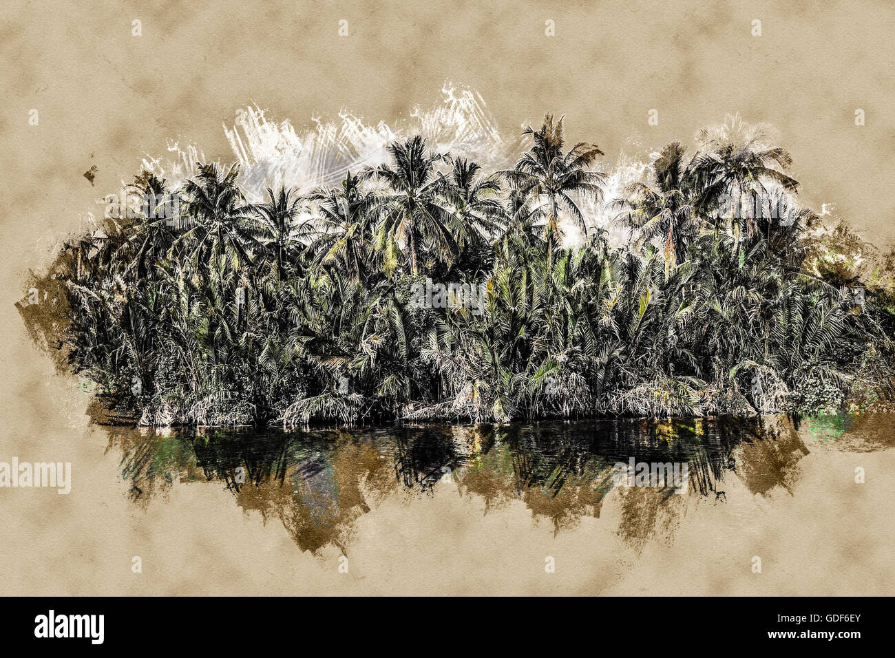 Palm trees on sea shore at beautiful sunny day Stock Photo - Alamy