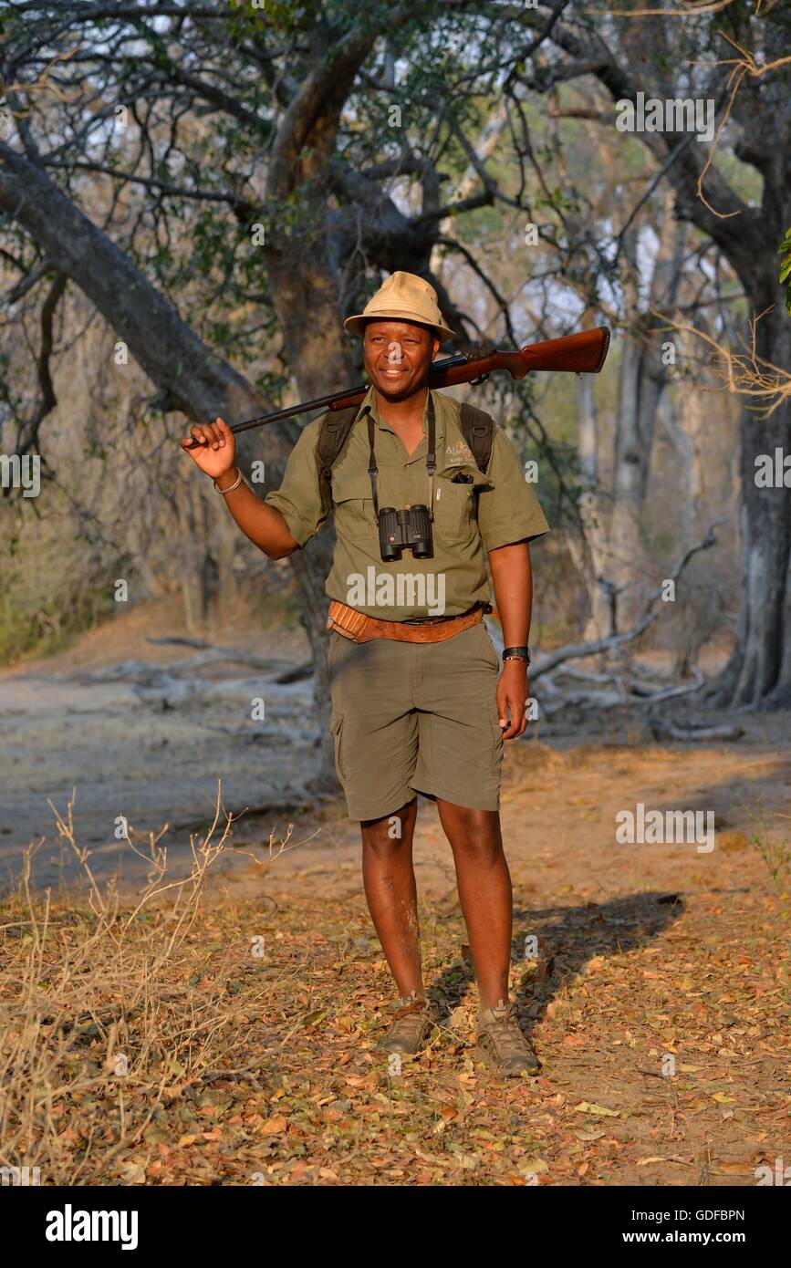 Armed park ranger, hiking guide, Mana Pools National Park, Mashonaland West Province, Zimbabwe Stock Photo
