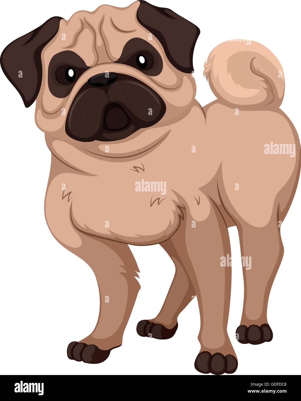 Pug with cute face illustration Stock Vector Image & Art - Alamy