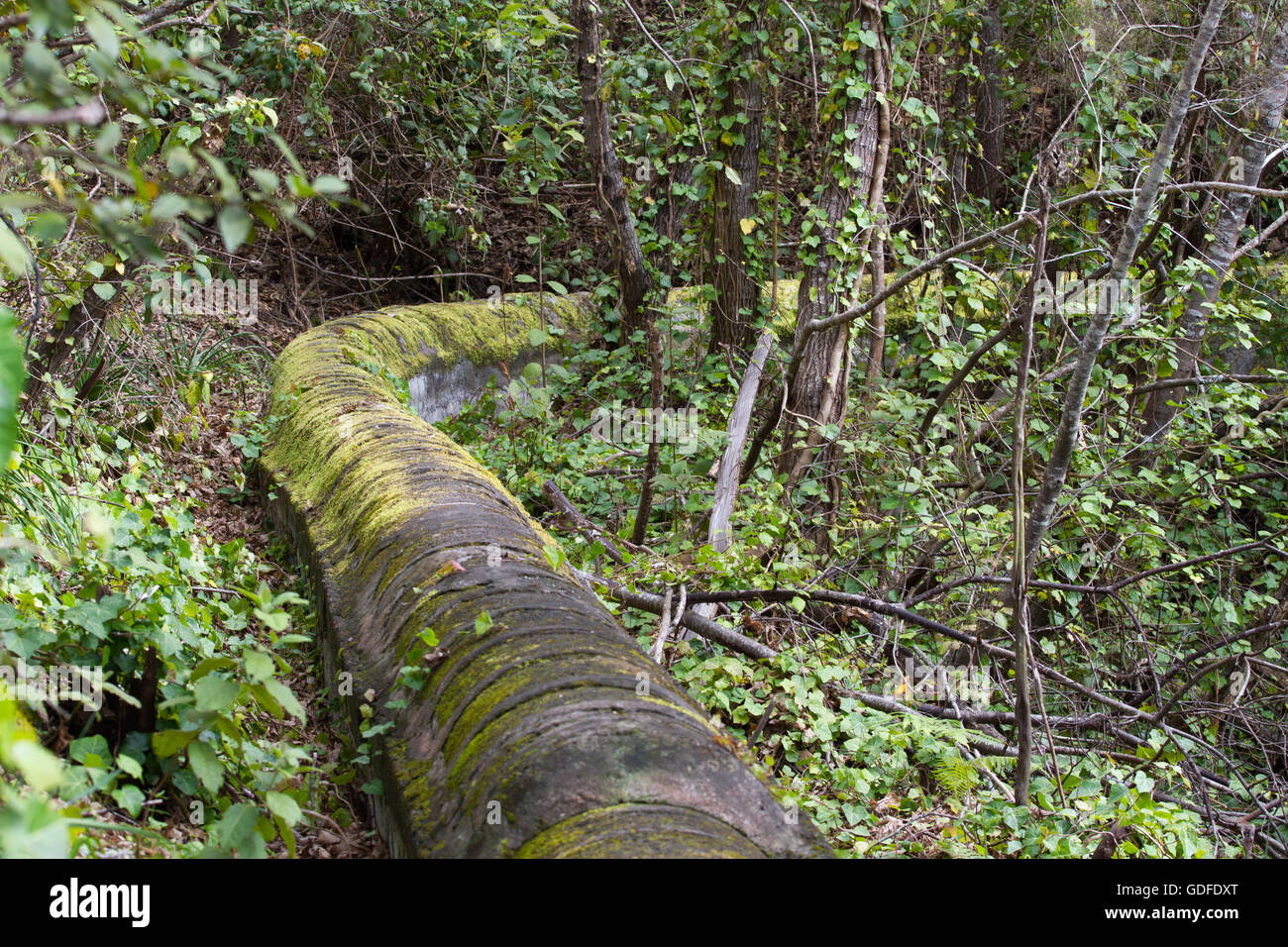 Ancient stone aqueduct in pine forest near the town of Los Realejos, Tenerife, Spain Stock Photo