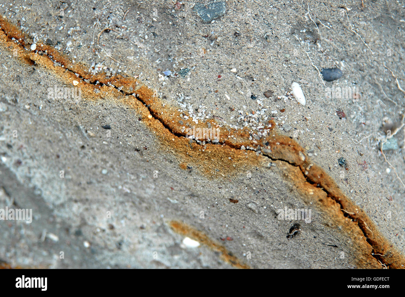 Crack in clay soil. The crack has allowed the iron content in the soul