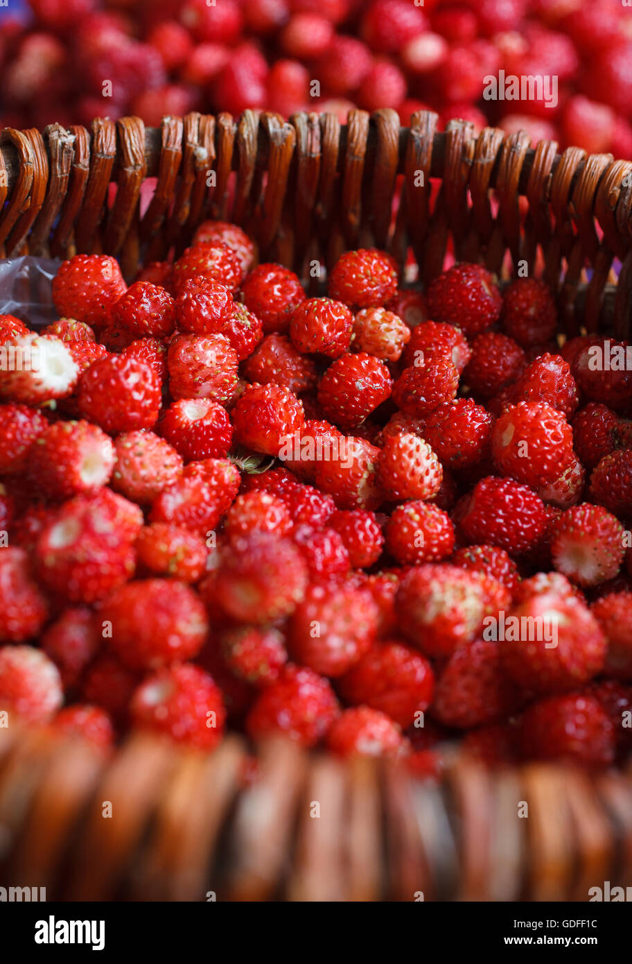 ripe wild strawberries Stock Photo - Alamy