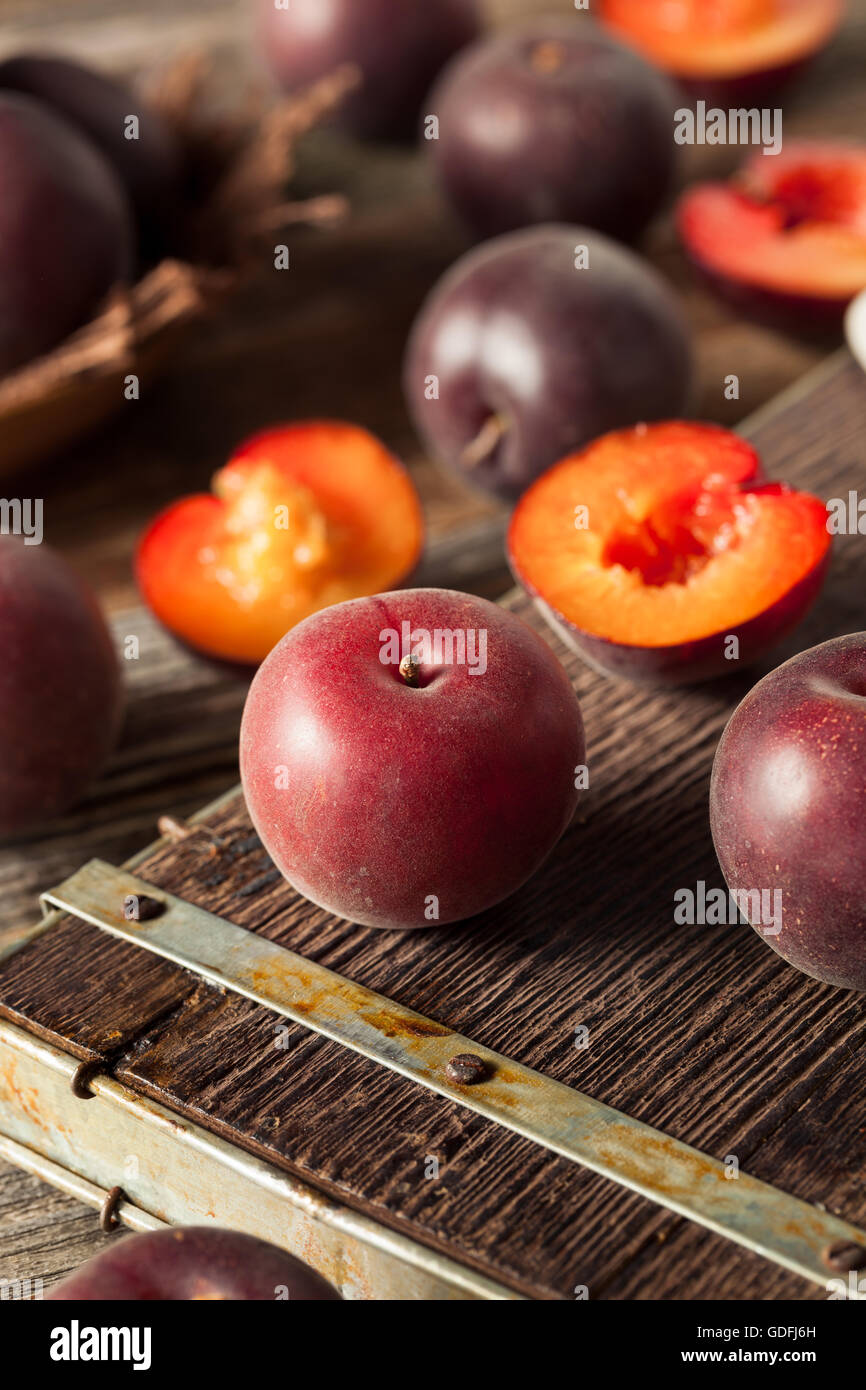 Apricot hires stock photography and images Alamy