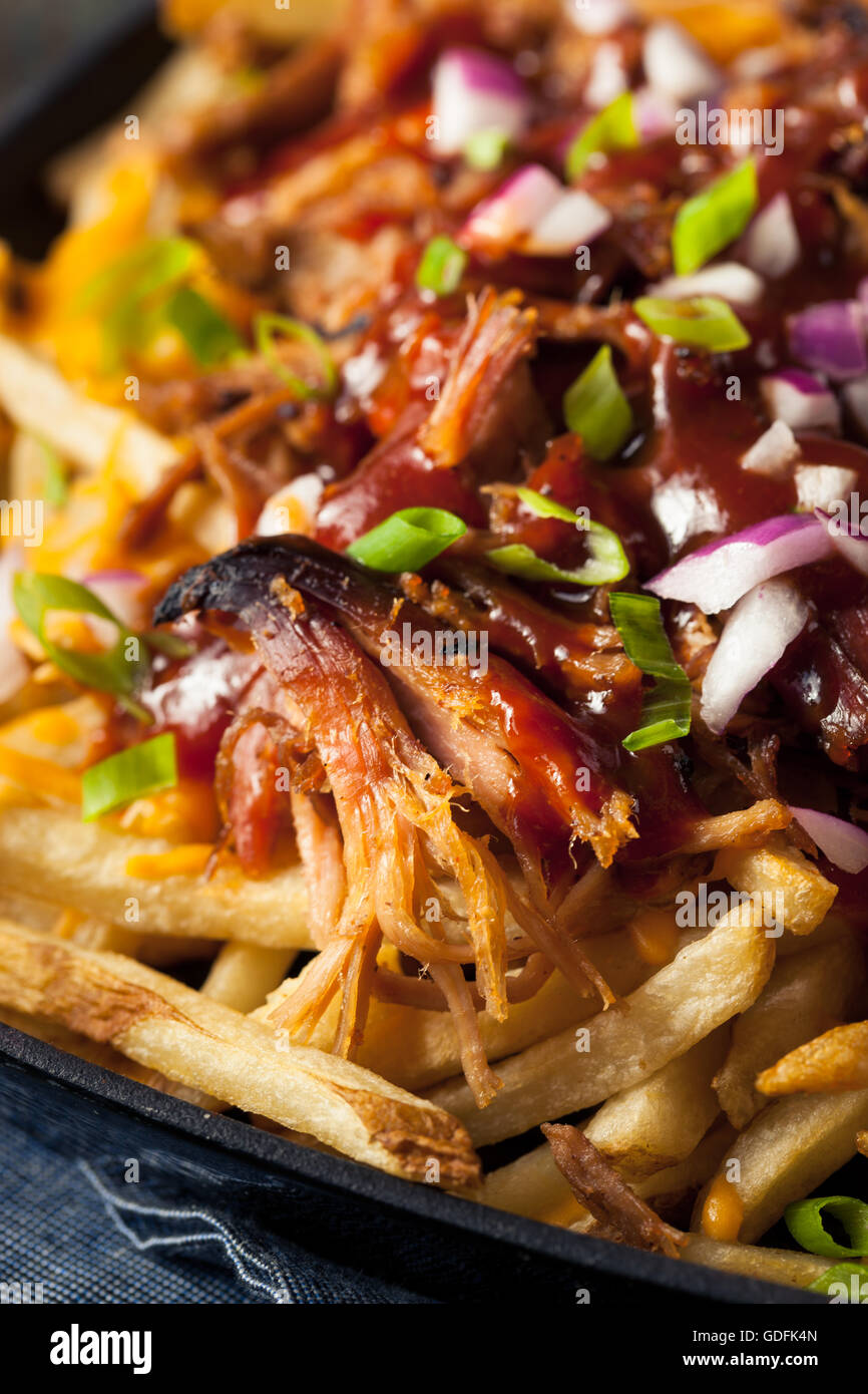 Homemade BBQ Pulled Pork French Fries with Sauce Stock Photo