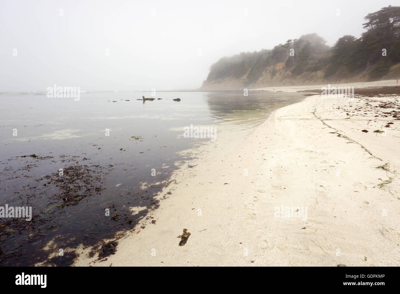 Beach at low tide, Fitzgerald Marine Reserve, Moss Beach, California Stock Photo Alamy