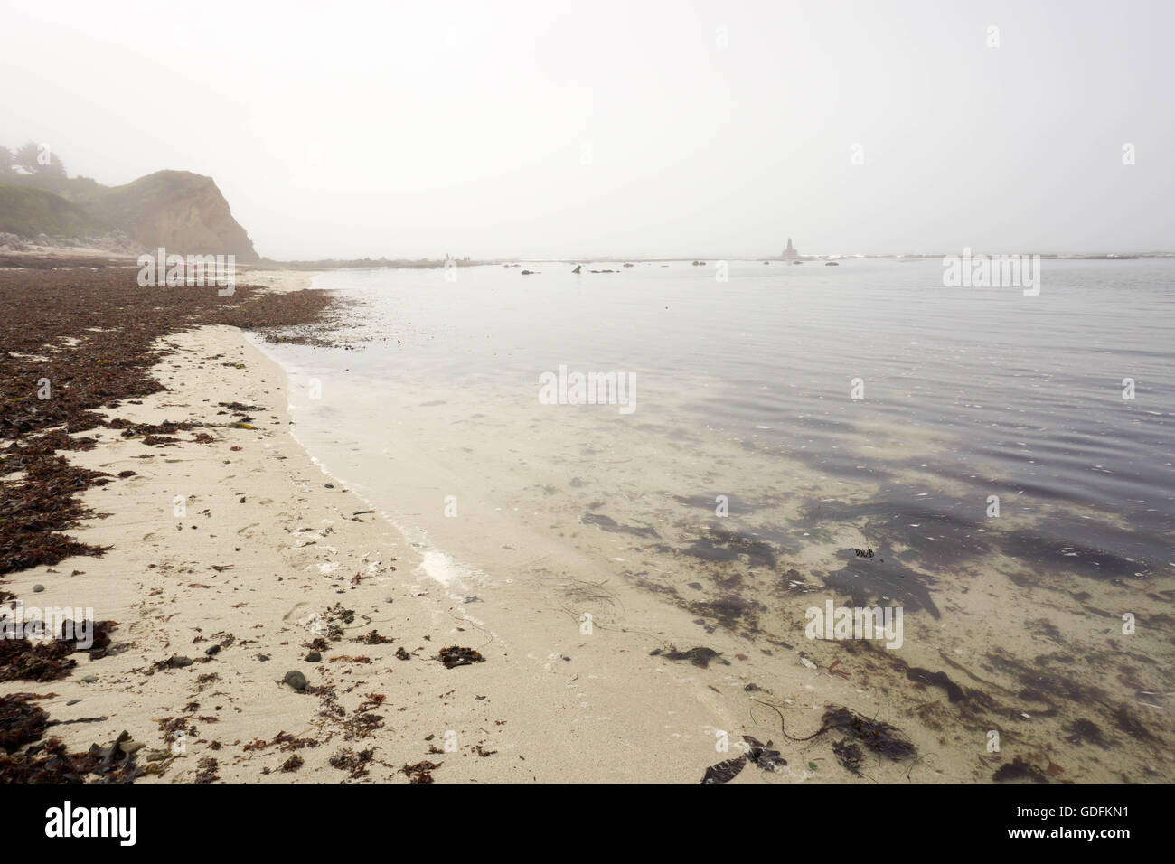 White cliffs beach low tide hires stock photography and images Alamy