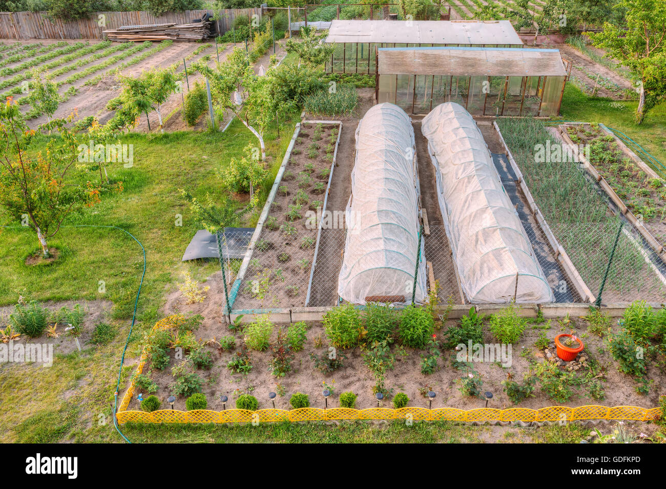 Vegetables Growing In Raised Beds In Vegetable Garden And Hothouses. Summer Season Stock Photo