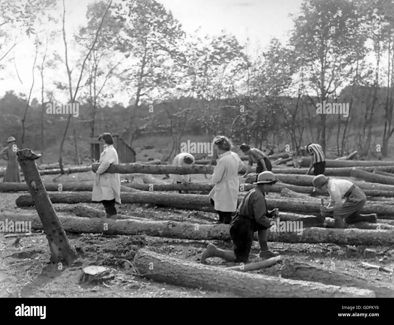 FIRST WORLD WAR  Recruits to the Womens Timber Service measuring, cutting and loaded pine trunks.  Most of them are wearing everyday clothes as opposed to the service issue uniforms worn by the supervisor at far left. Photo : Ministry of Supply Stock Photo
