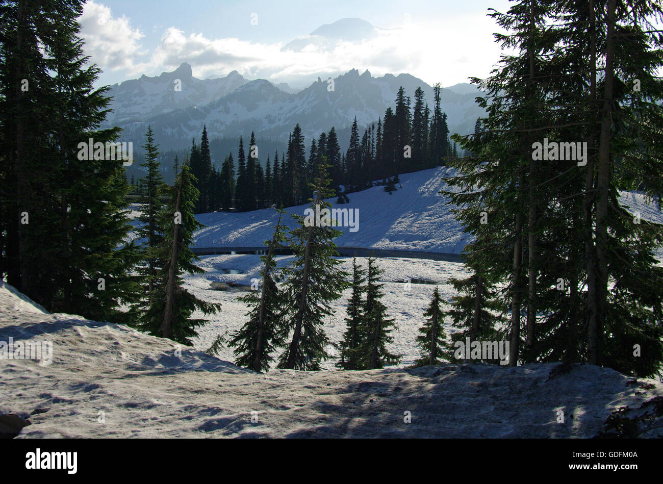 The breathtakingly beautiful Chinook Pass in the Cascade Mountains in Washington's Mount Rainier National Park is still covered in snow in July. Stock Photo