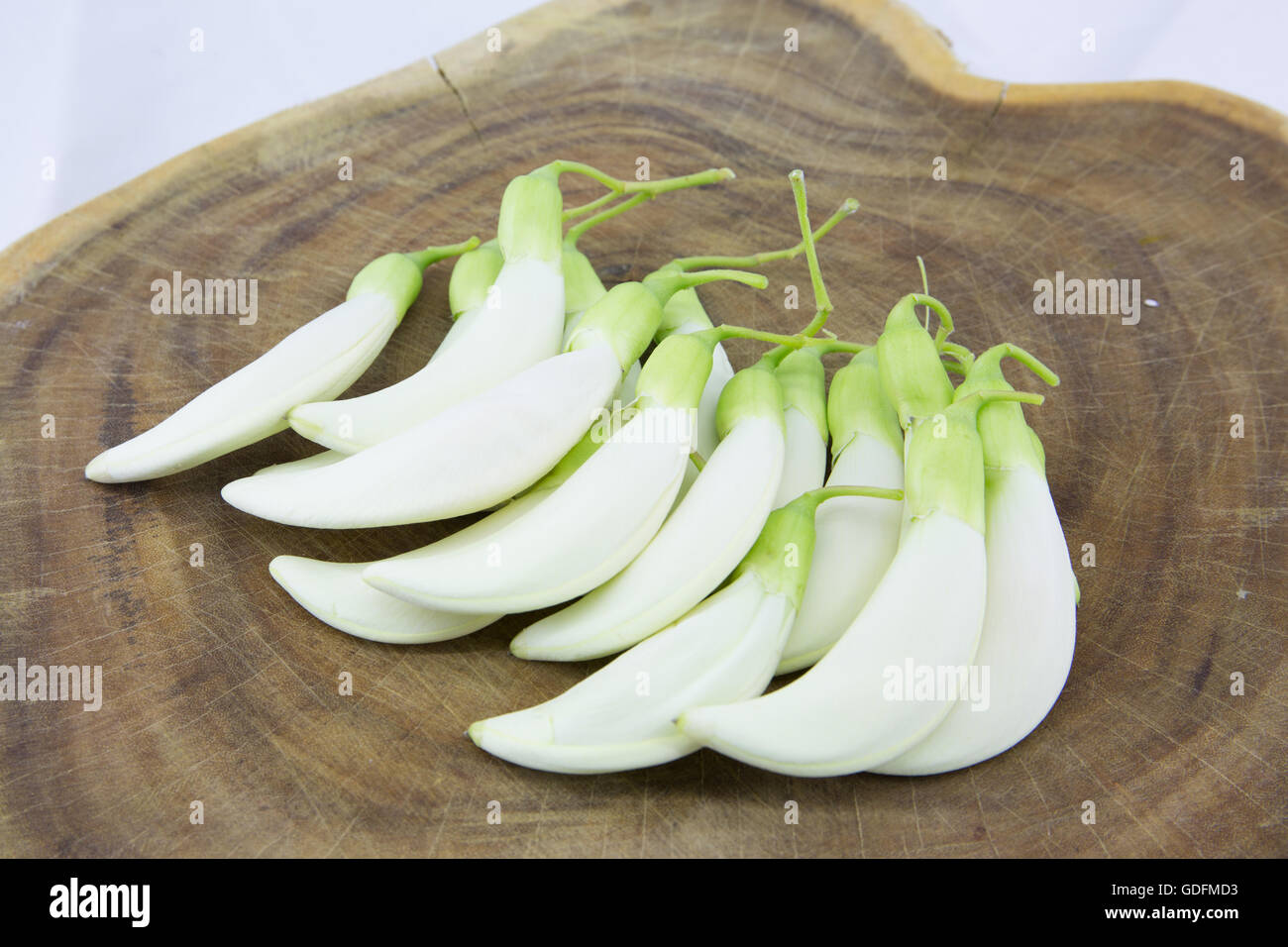 Agasta tree (Sesbania grandiflora) on vintage wooden background Stock ...