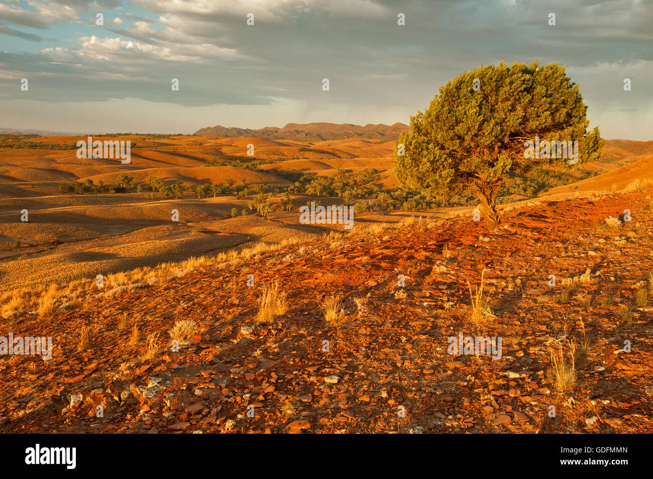 Flinders ranges hi-res stock photography and images - Alamy