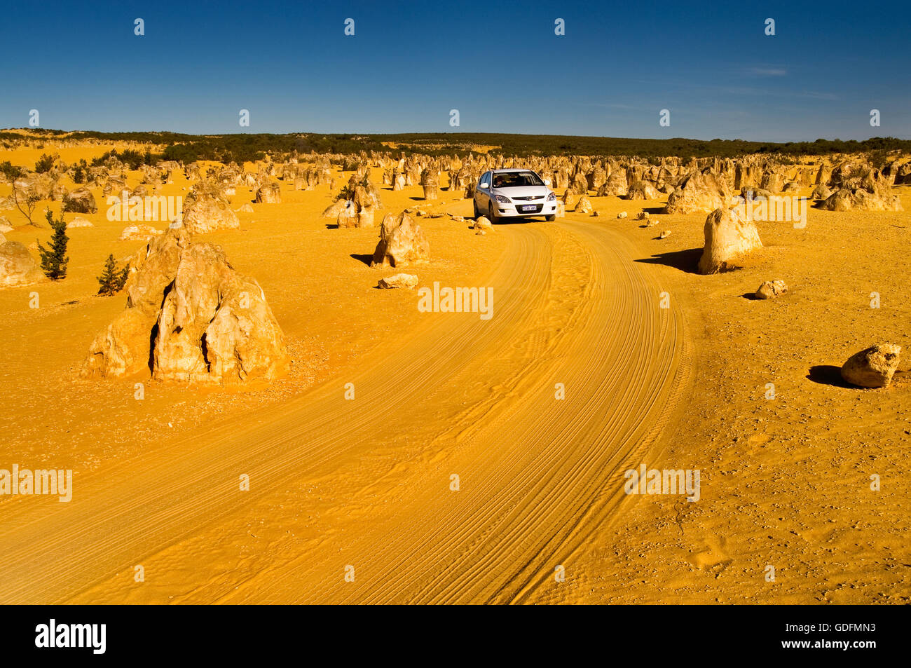 Track leading through the Pinnacle Desert in Nambung National Park. Stock Photo