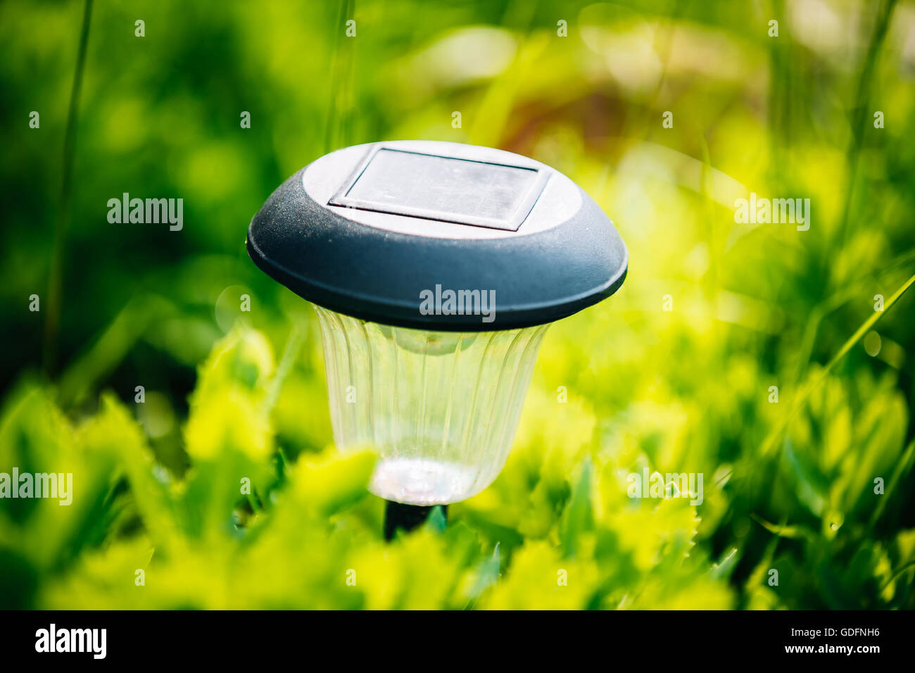 Small Solar Garden Light, Lanterns In Flower Bed. Garden Design. Solar