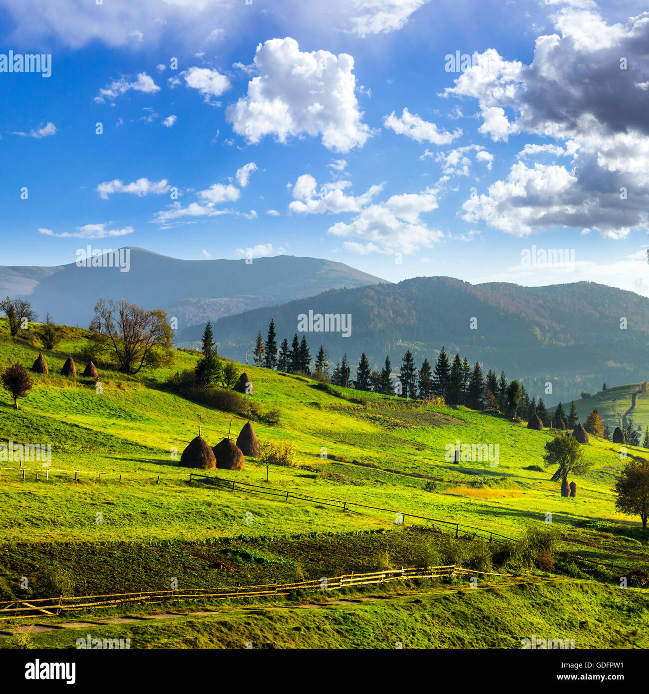 composte landscape with path near haystack on a green meadow in the ...