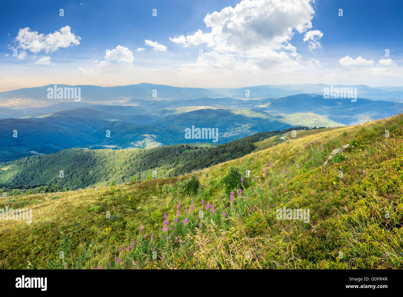 Composite landscape high wild grass hi-res stock photography and images ...