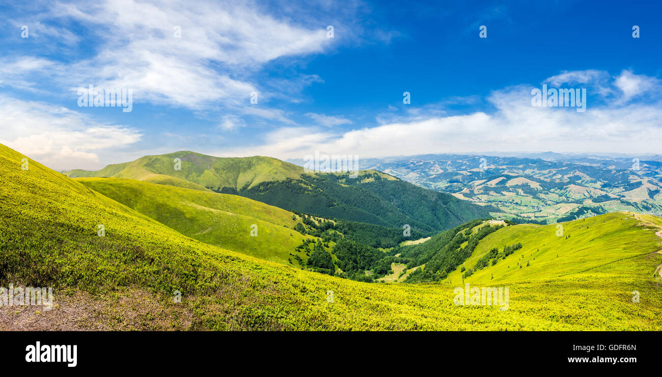 Summer landscape high grass hi-res stock photography and images - Alamy